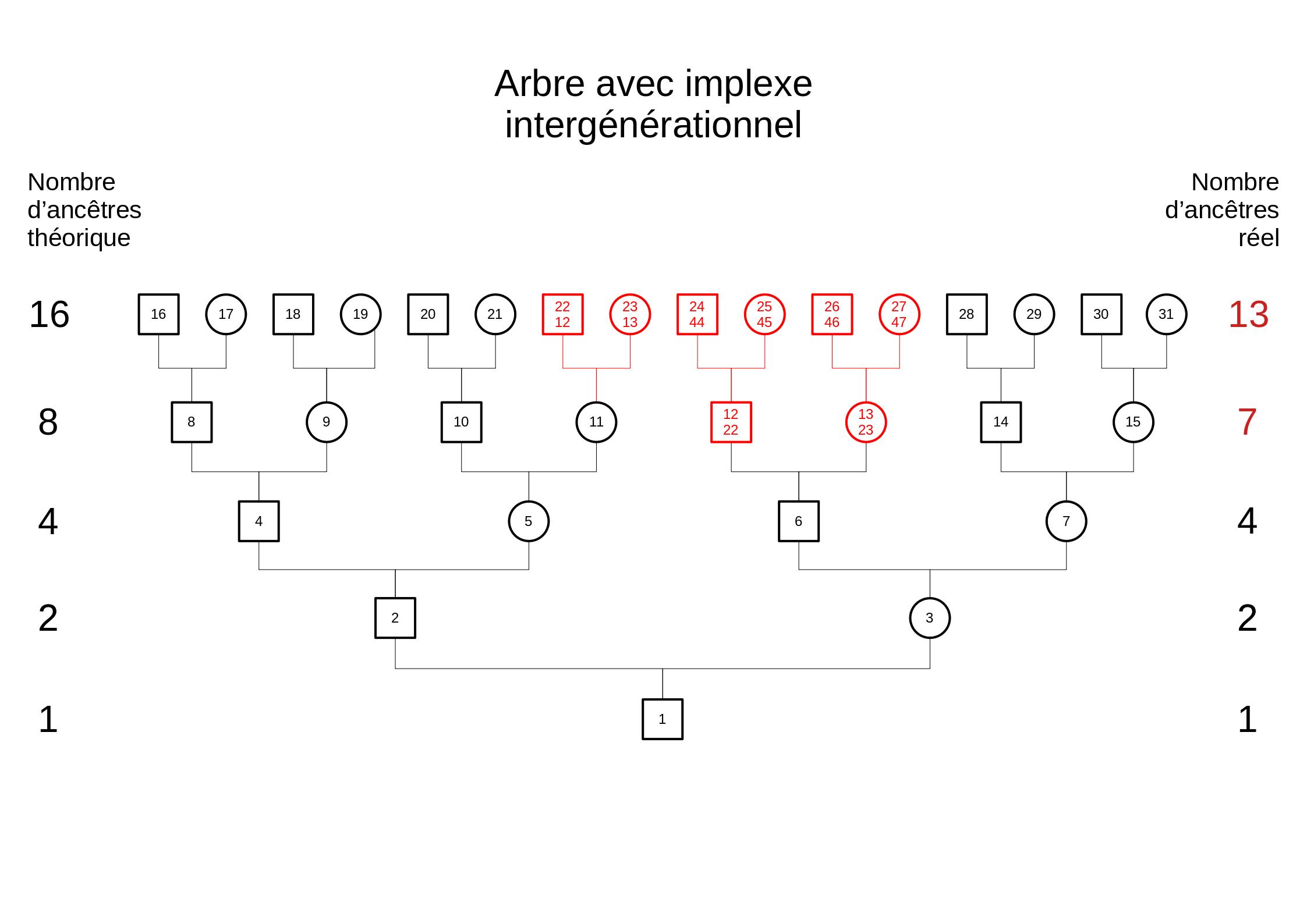 AIP avec implexe intergénérationnel