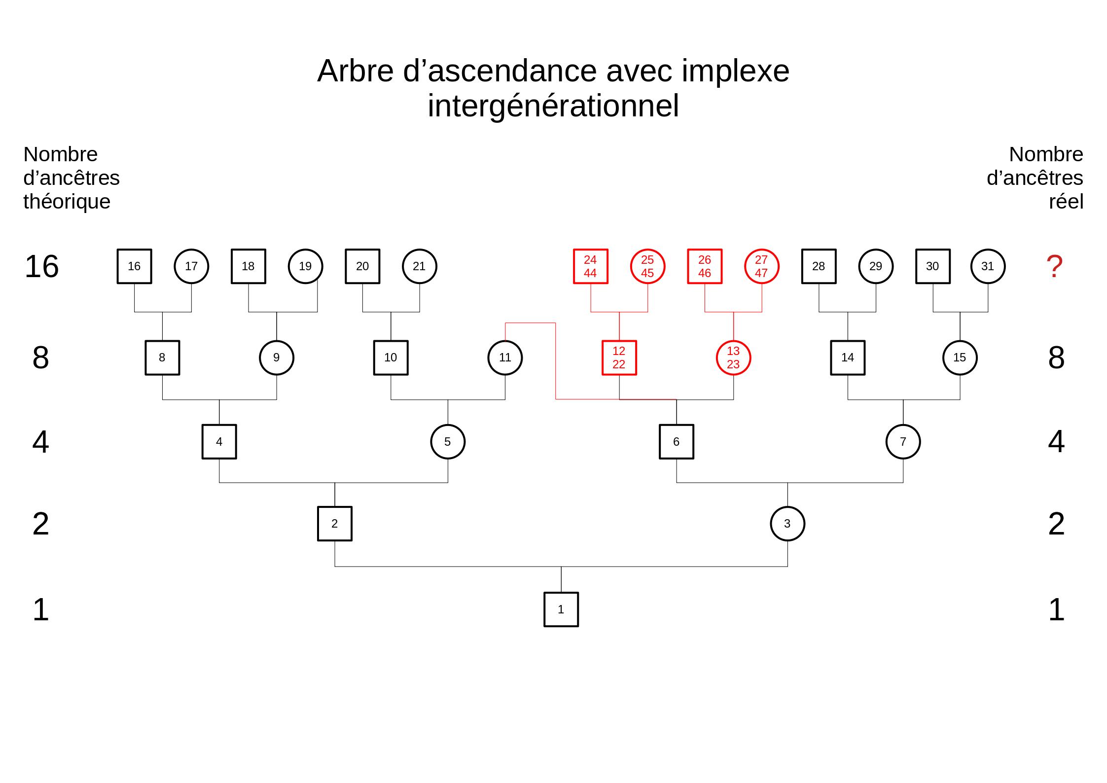 Ascendance avec implexe intergénérationnel