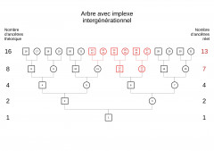 AIP avec implexe intergénérationnel