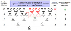 Implexe du second au troisième degré.